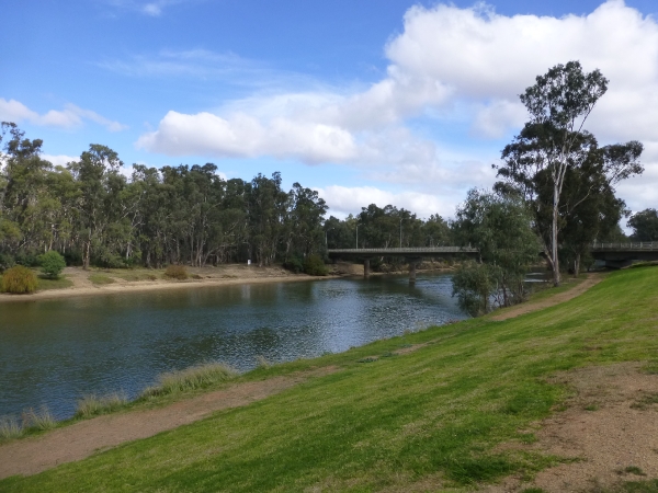 8 - The mighty Murray River at Tocumwal